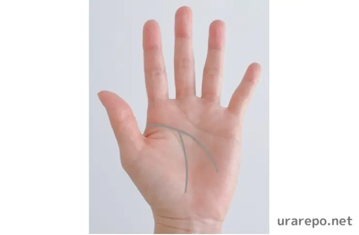 運命線にみえる生命線