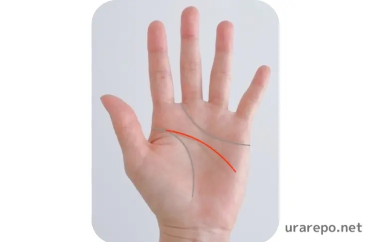 知能線の左手が長い