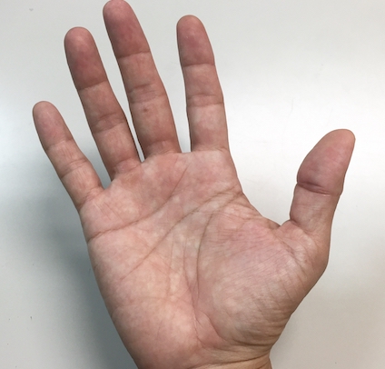 長い知能線の実例写真