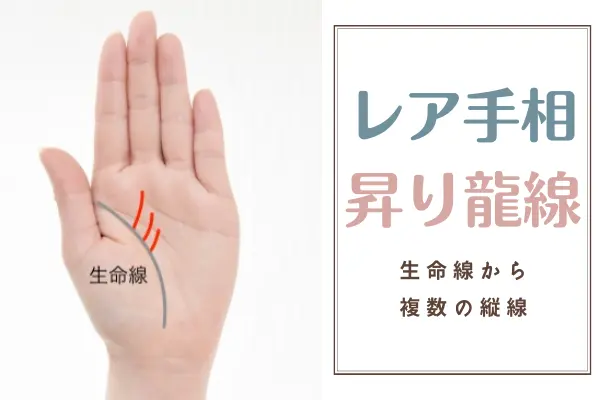 昇り龍線の手相