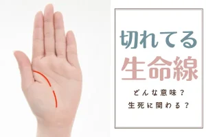 生命線が切れてる 途切れ